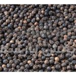 تولید کننده فلفل سیاه دانه درشت خوراکی /قیمت۹۰،۰۰۰ تا ۱۰۰،۰۰۰